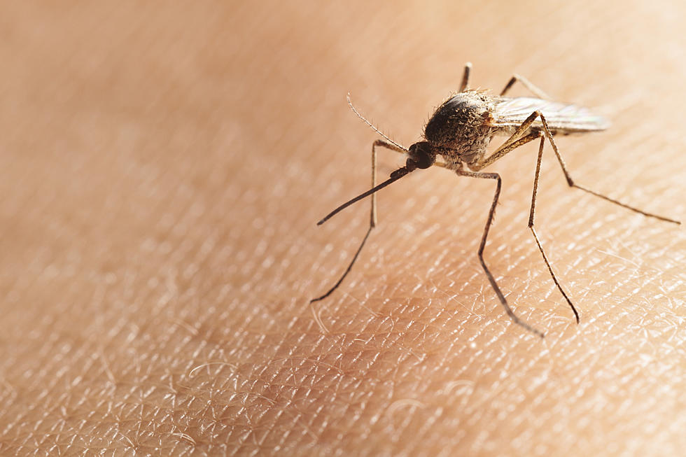 Health Officials Warn Of West Nile Virus This Summer